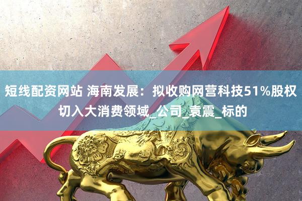 短线配资网站 海南发展：拟收购网营科技51%股权 切入大消费领域_公司_袁震_标的